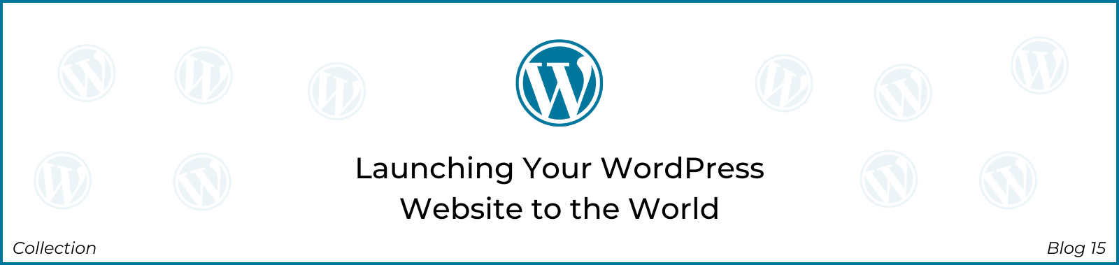 Launching Your WordPress Website to the World