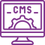 Salesforce and CMS Reporting